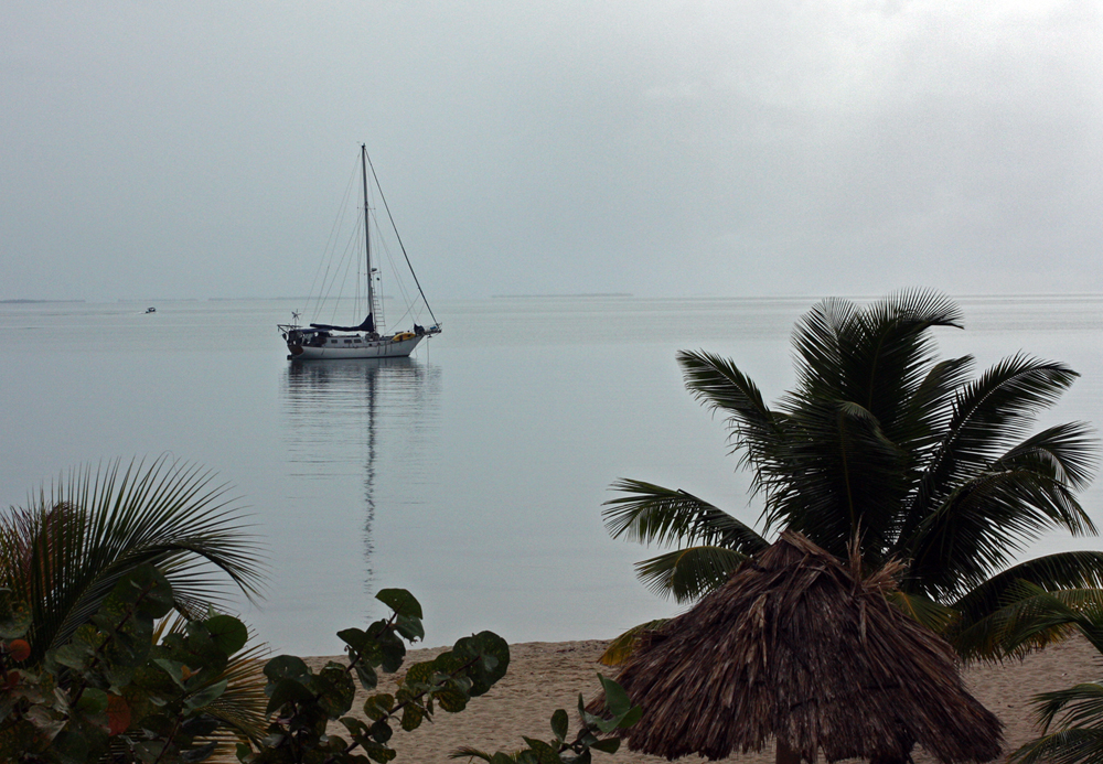 Hawksbill House