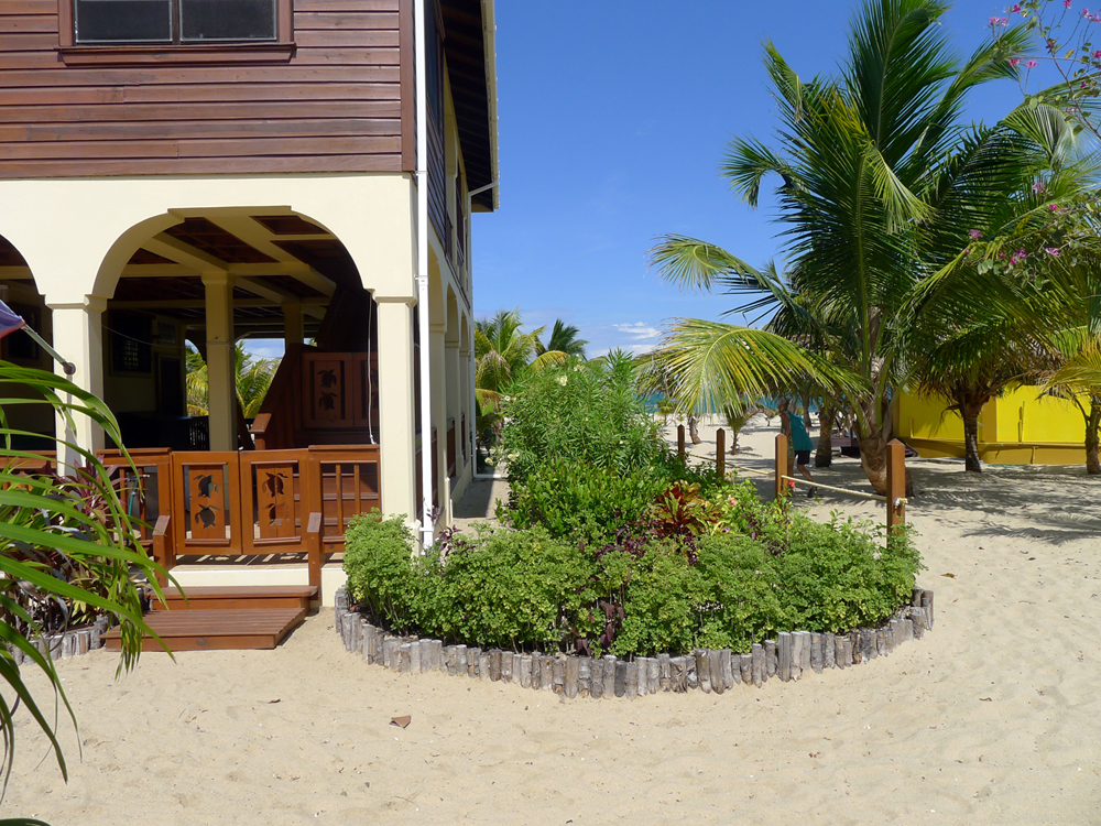 Hawksbill house